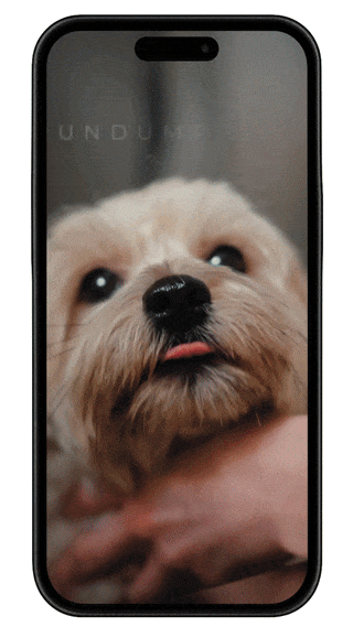 Hundefriseur GIF
