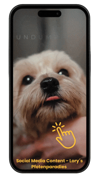 GIF 5